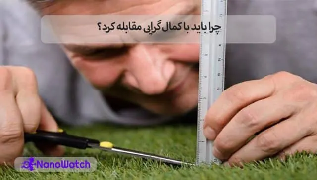 کمال گرایی